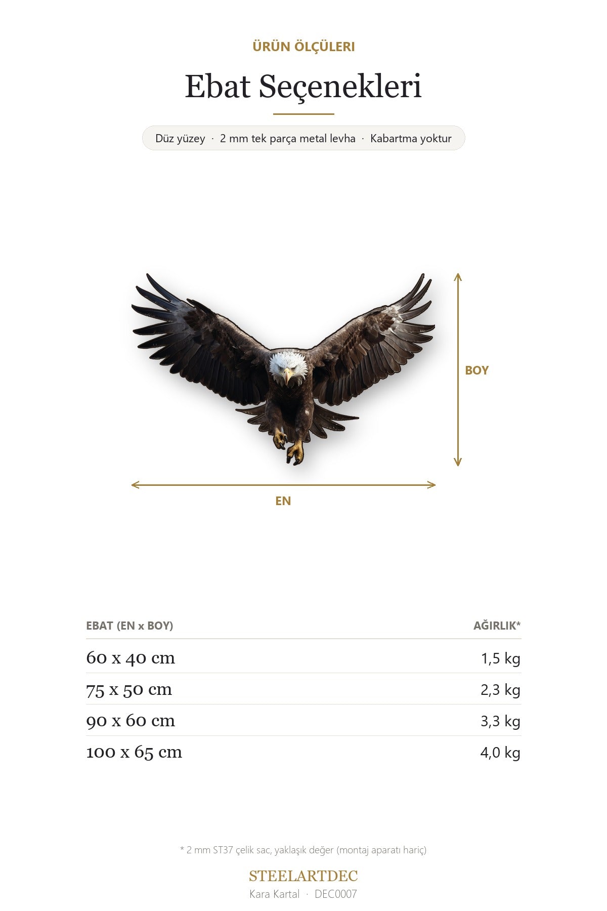 Kara Kartal Metal Tablo – Kartal Temalı Güçlü Duvar Dekoru DEC0007 — Açıklama: Ebat Seçenekleri
