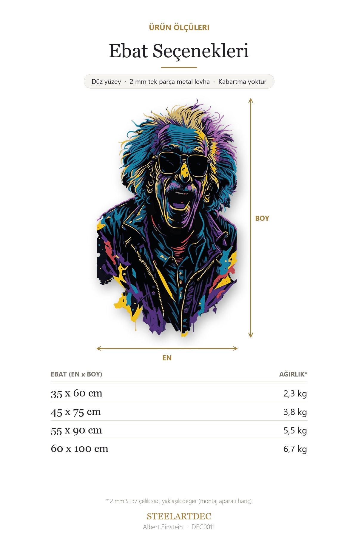 Albert Einstein Metal Tablo – Renkli Pop Art Portre Duvar Dekoru DEC0011 — Açıklama: Ebat Seçenekleri