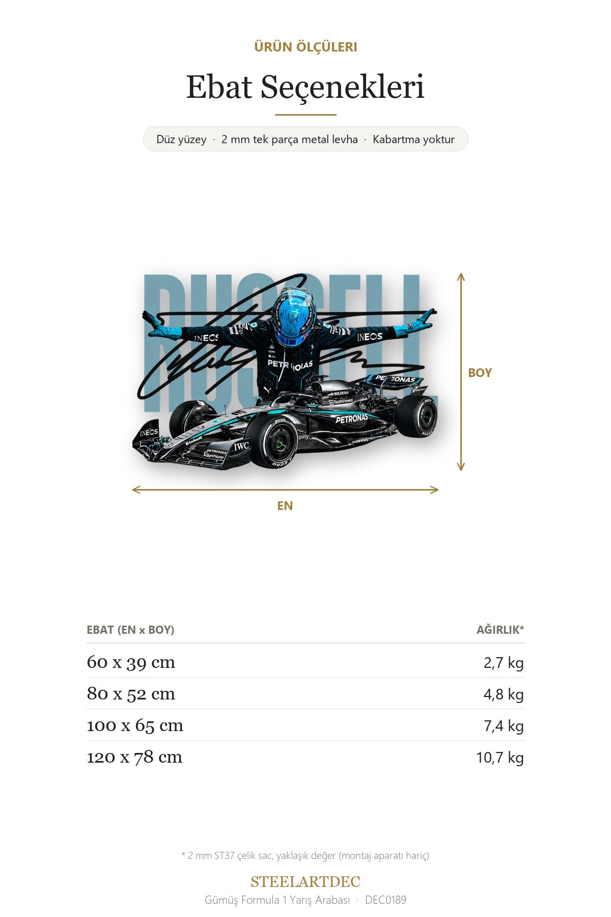 Gümüş Formula 1 Yarış Arabası Metal Tablo DEC0189 — Açıklama: Ebat Seçenekleri