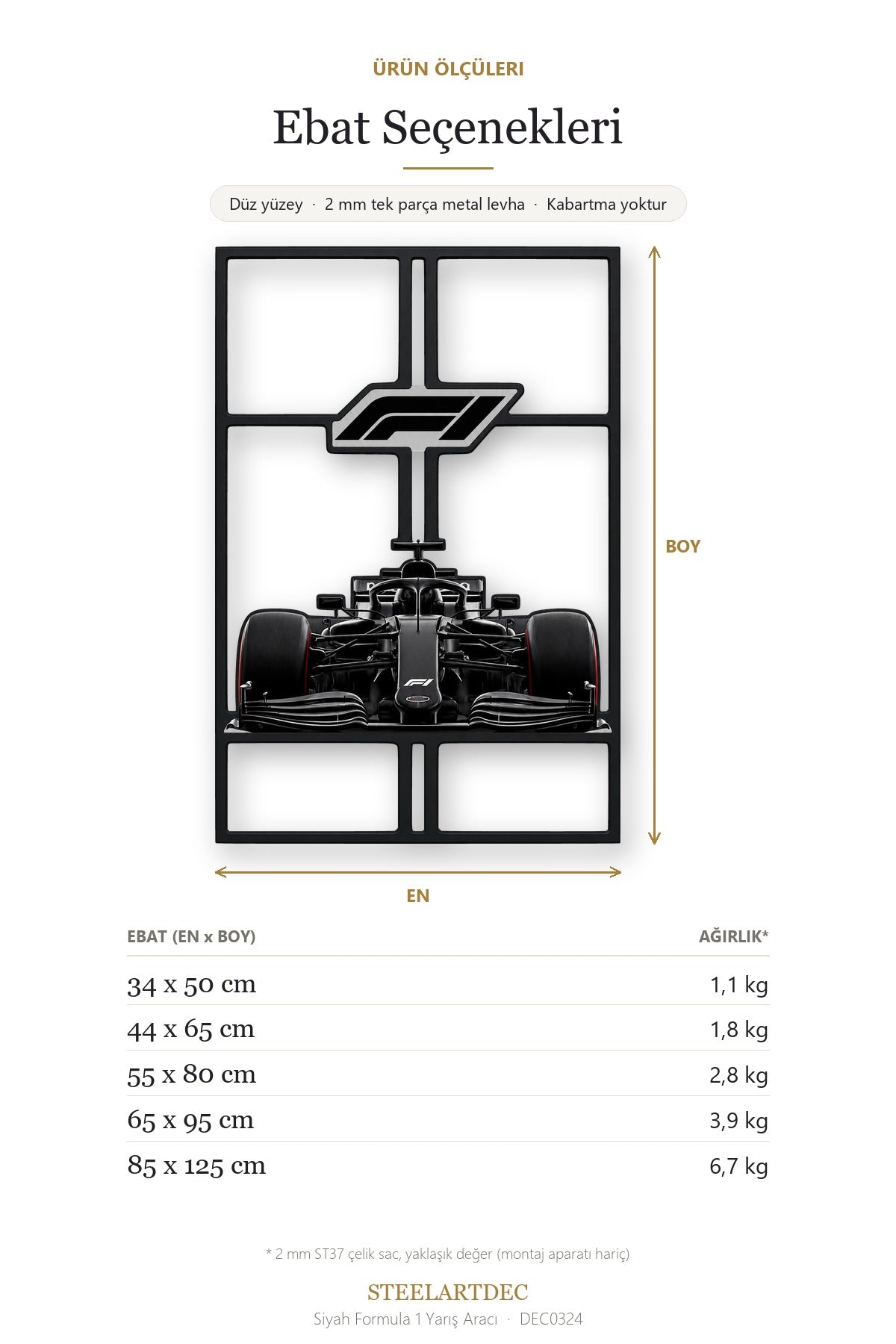 Siyah Formula 1 Yarış Aracı Metal Tablo DEC0324 — Açıklama: Ebat Seçenekleri