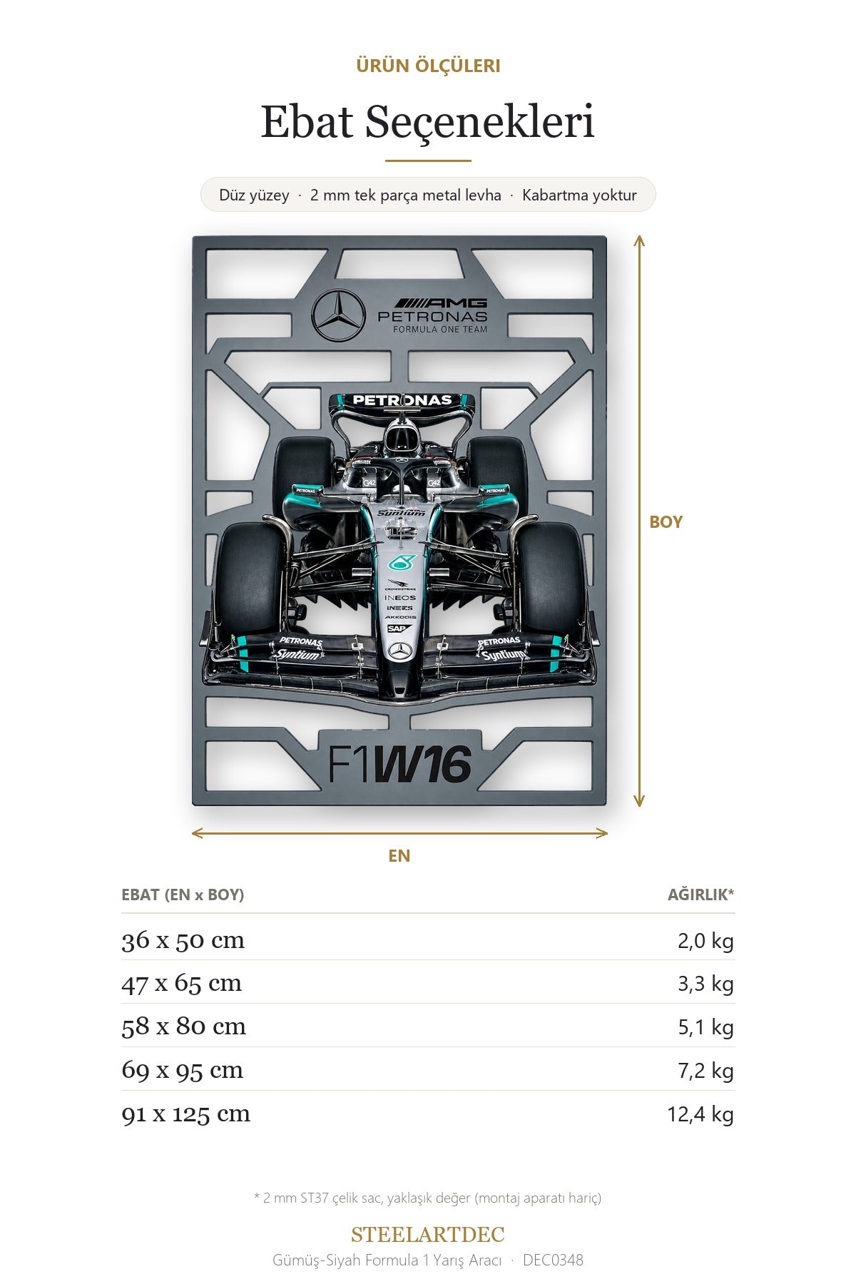 Gümüş-Siyah Formula 1 Yarış Aracı Metal Tablo DEC0348 — Açıklama: Ebat Seçenekleri