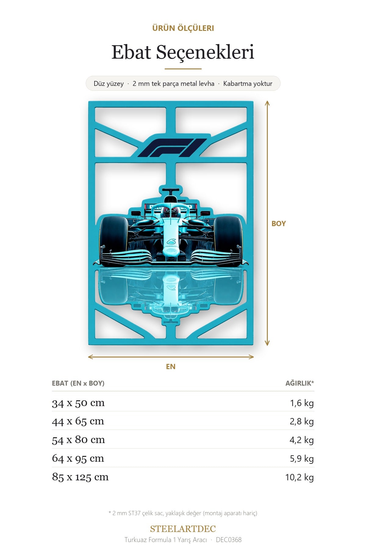 Turkuaz Formula 1 Yarış Aracı Metal Tablo DEC0368 — Açıklama: Ebat Seçenekleri