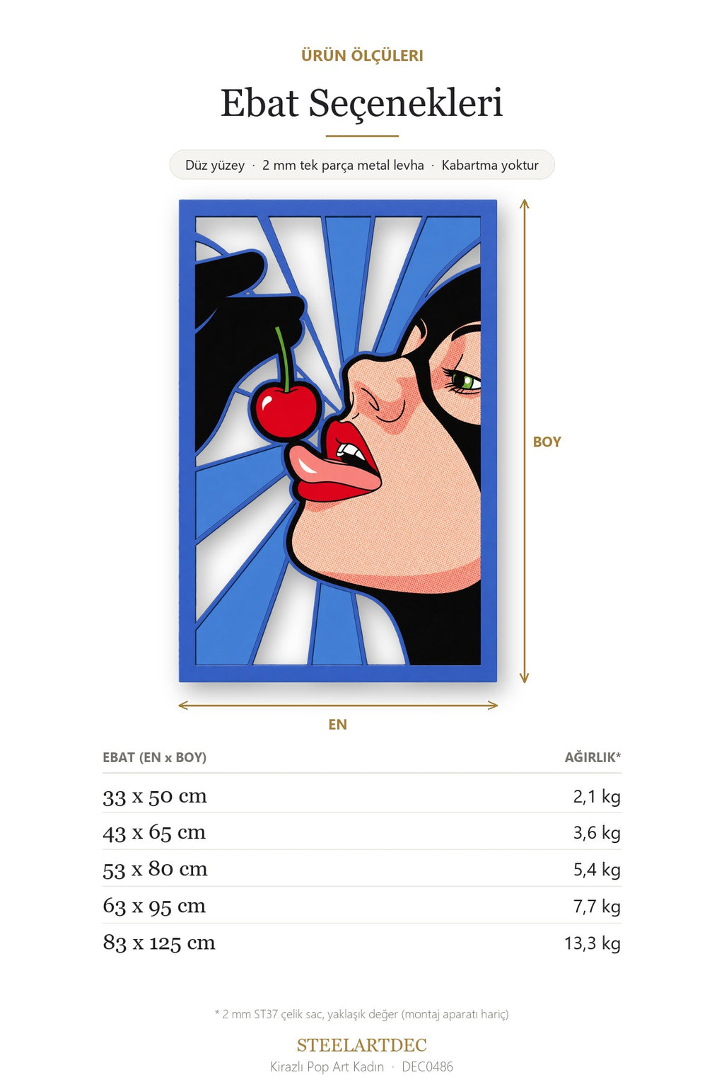 Kirazlı Pop Art Kadın Metal Tablo DEC0486 — Açıklama: Ebat Seçenekleri