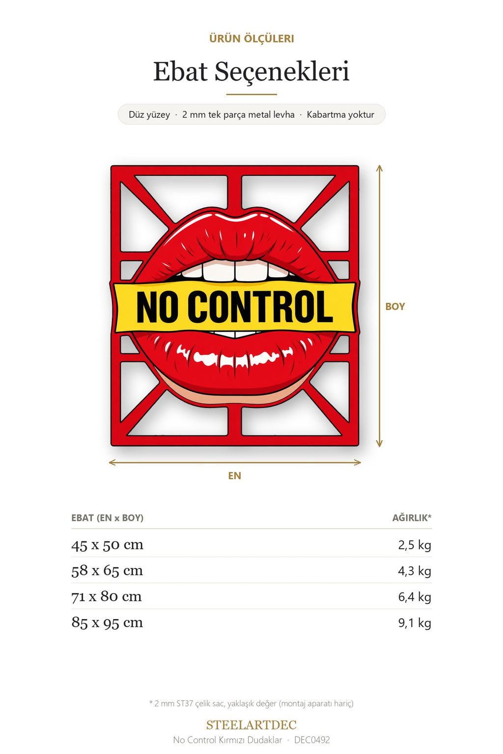 No Control Kırmızı Dudaklar Metal Tablo DEC0492 — Açıklama: Ebat Seçenekleri