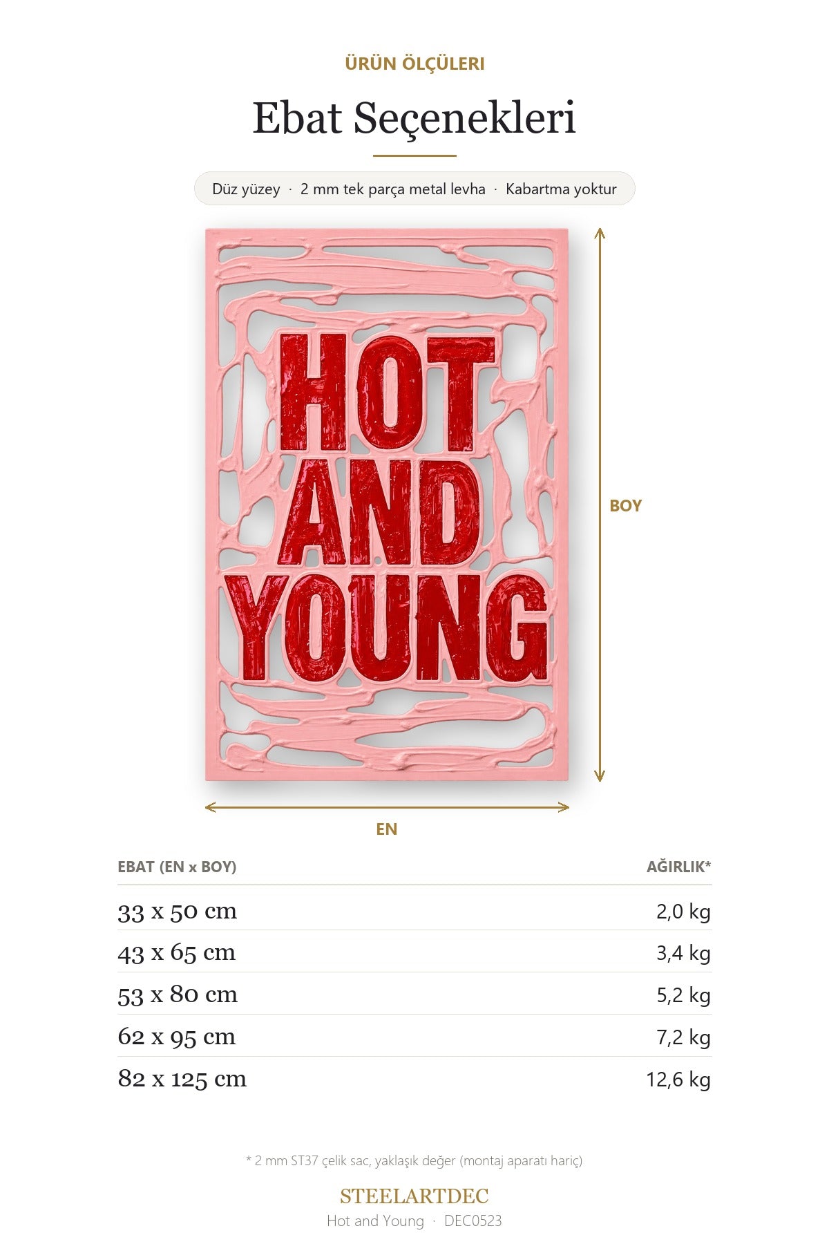 Hot and Young Metal Tablo DEC0523 — Açıklama: Ebat Seçenekleri