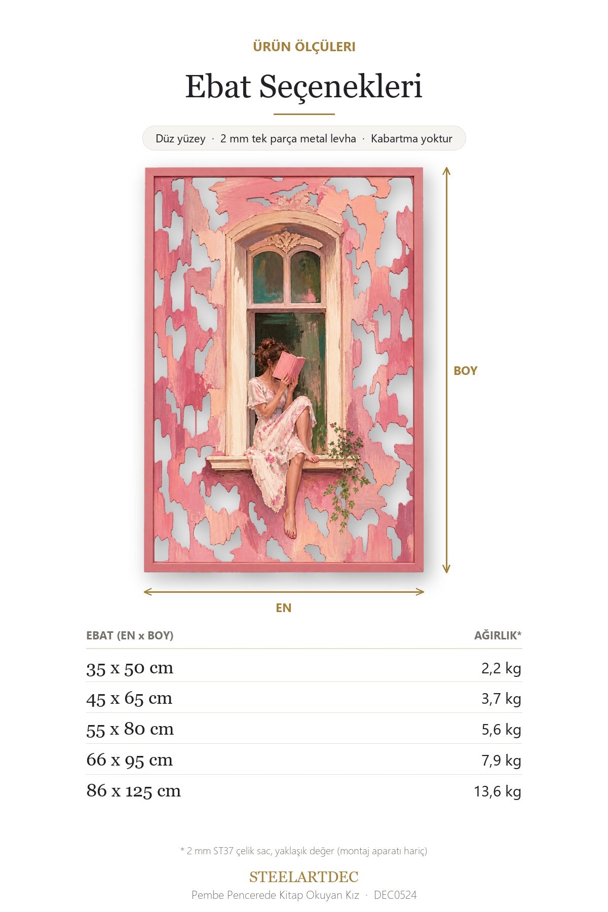 Pembe Pencerede Kitap Okuyan Kız Metal Tablo DEC0524 — Açıklama: Ebat Seçenekleri