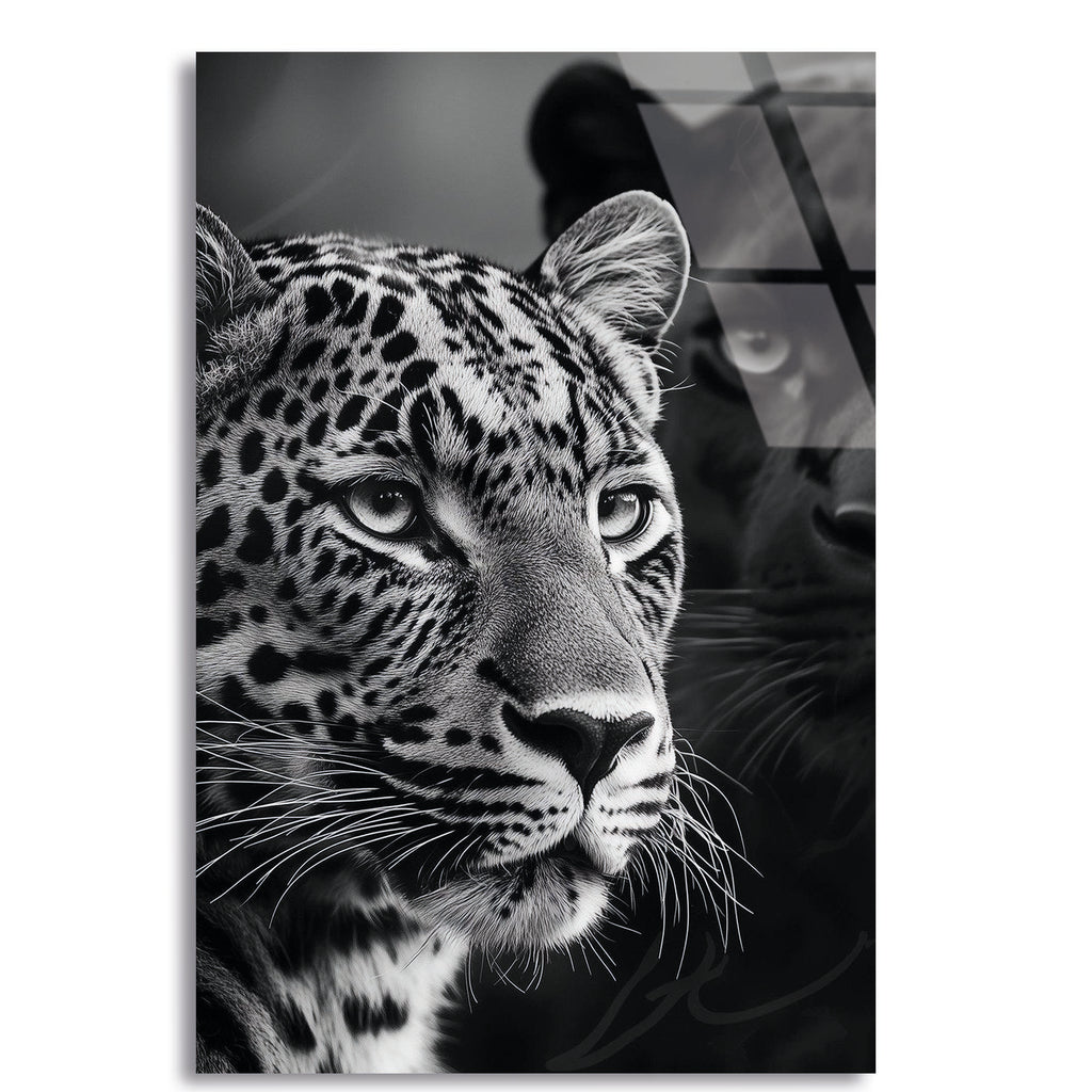 Jaguar ve Çita Cam Tablo – Vahşi Hayvan Duvar Dekoru - DEG0764