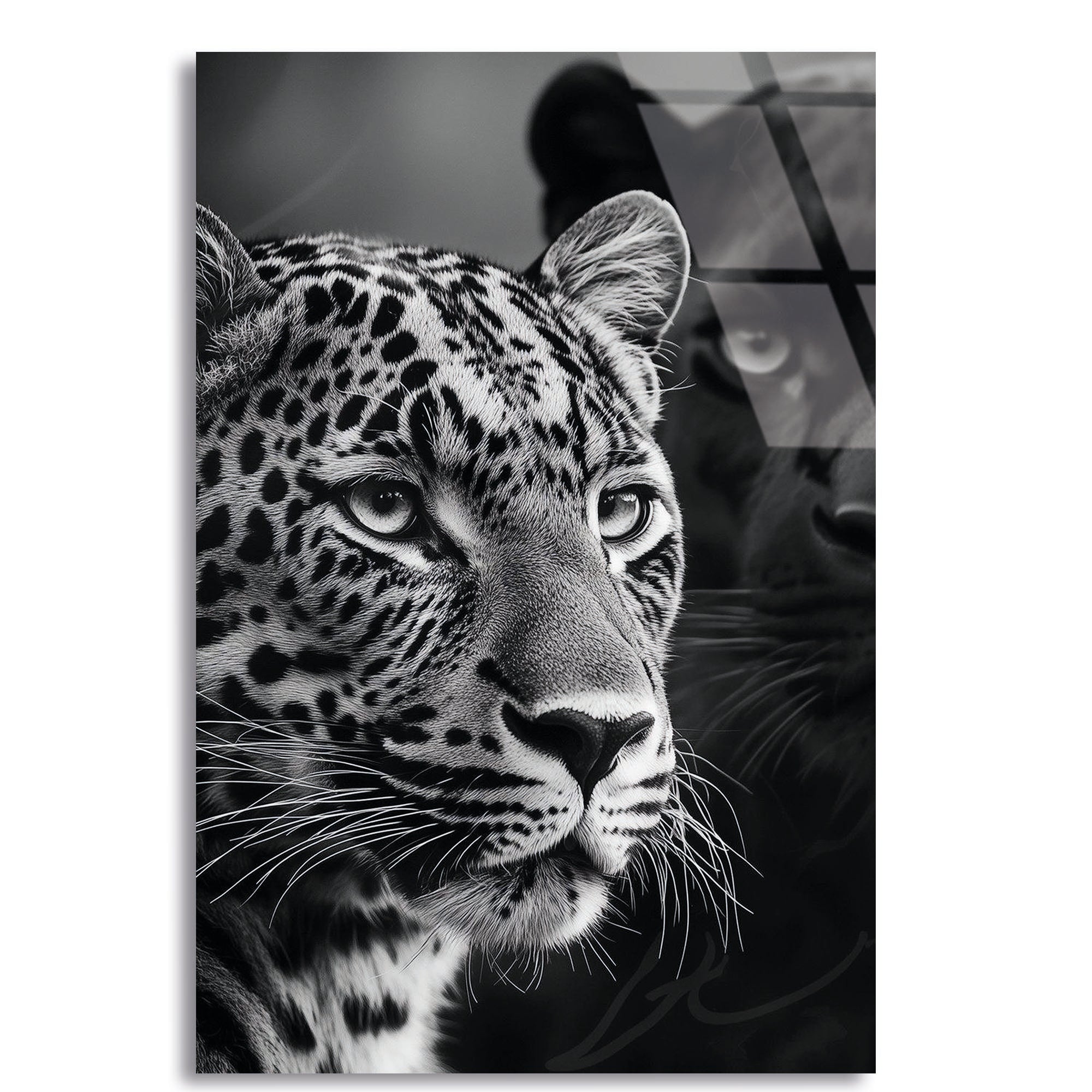 Jaguar ve Çita Cam Tablo – Vahşi Hayvan Duvar Dekoru - DEG0764