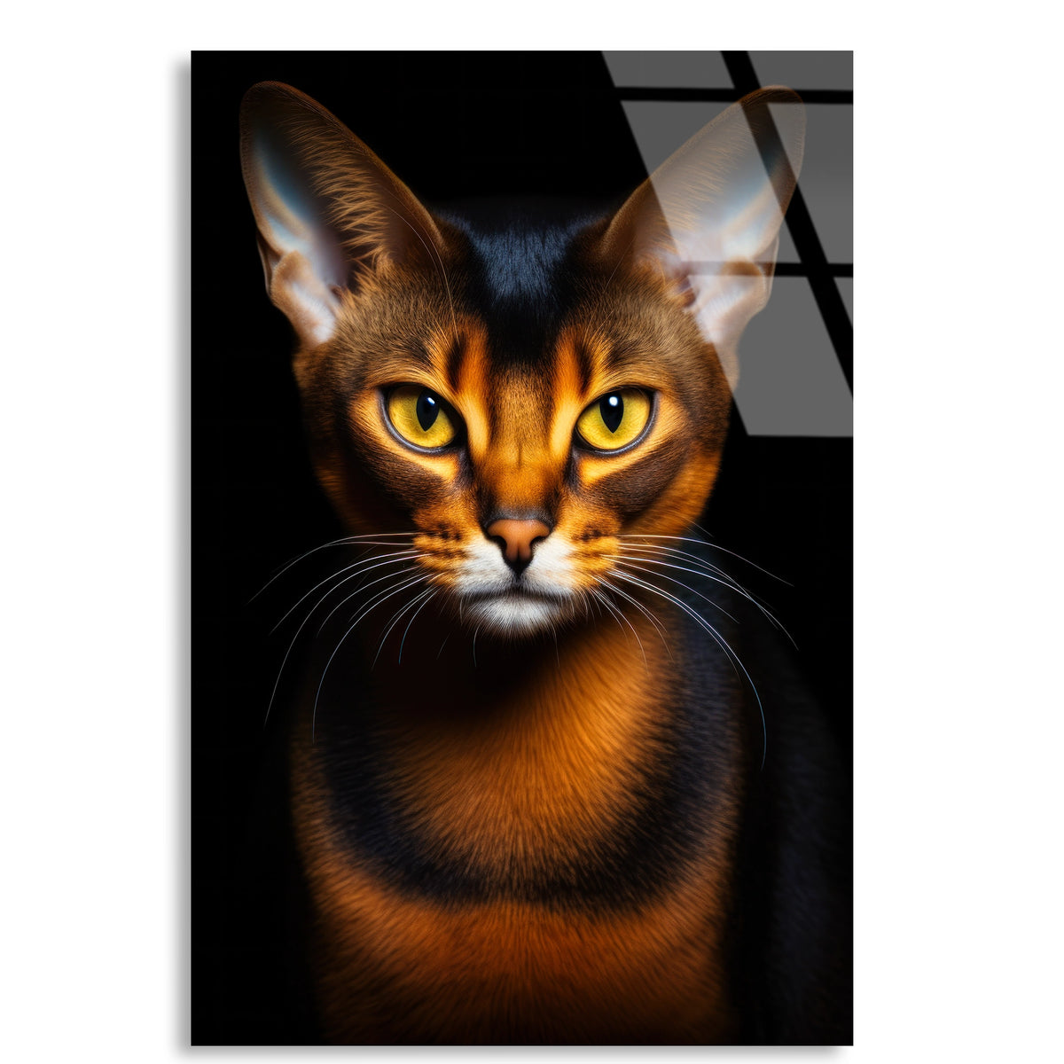 Abyssinian Kedi Cam Tablo – Hayvan Duvar Dekoru - DEG0929