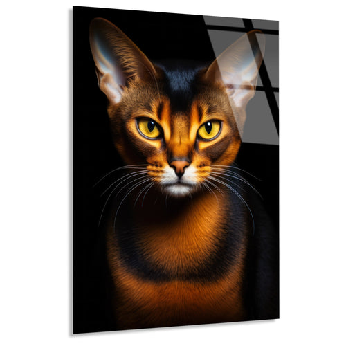 Abyssinian Kedi Cam Tablo – Hayvan Duvar Dekoru - DEG0929