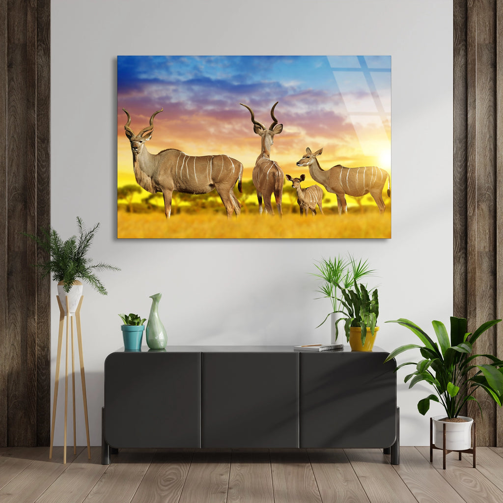 Afrika Antilopları Cam Tablo