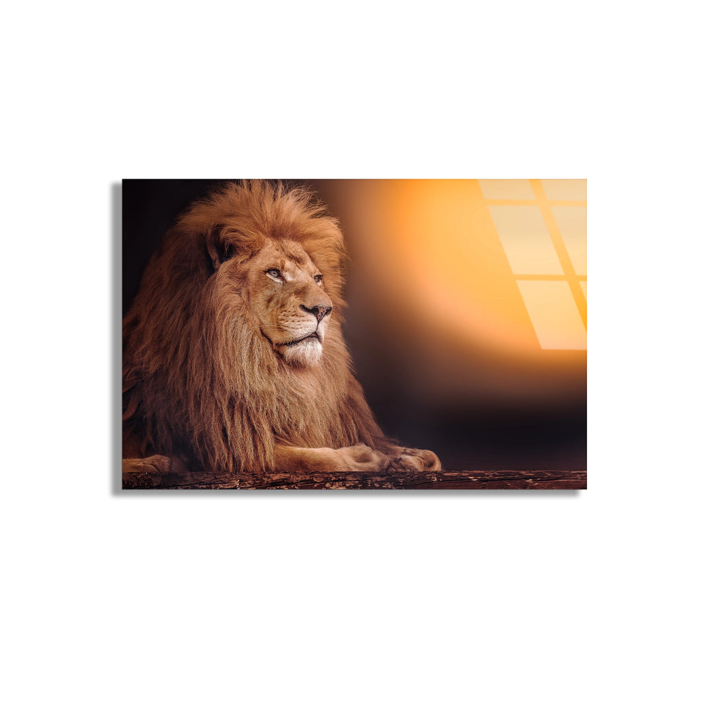 Aslan Cam Tablo