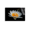 Beyaz Lotus Cicegi Cam Tablo