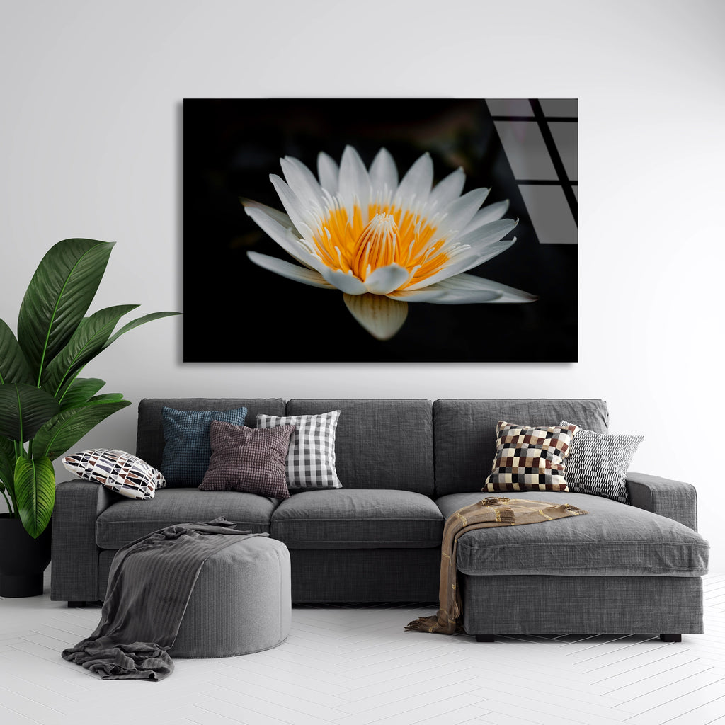 Beyaz Lotus Cicegi Cam Tablo