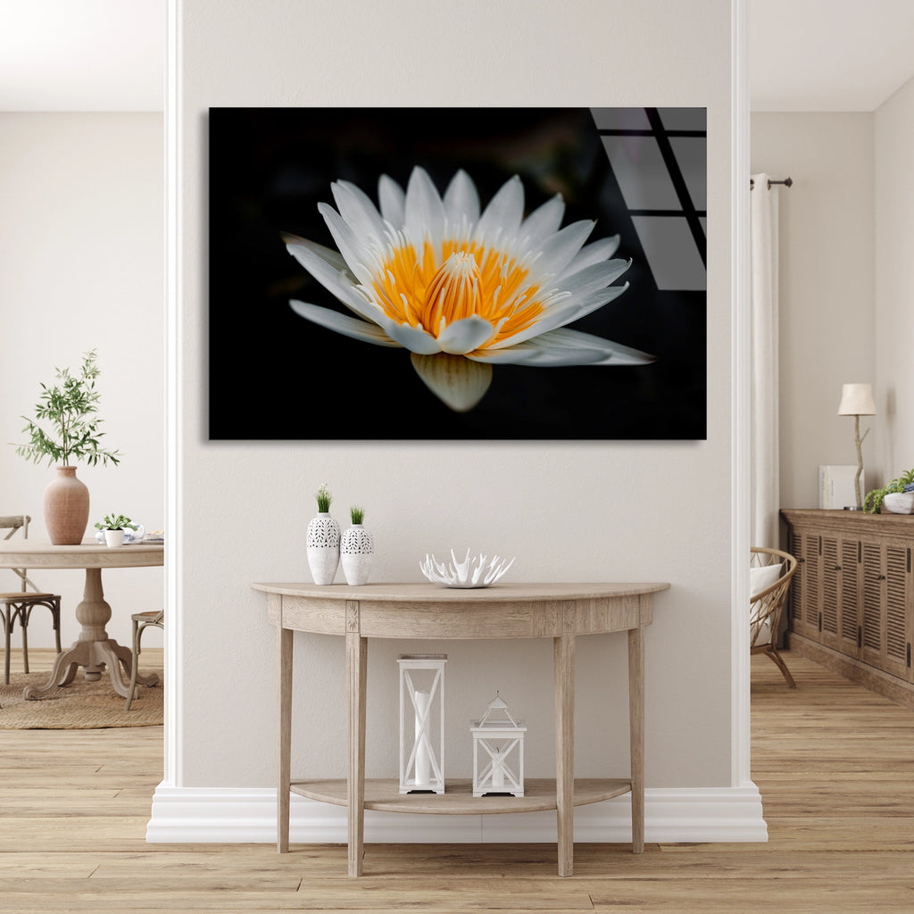 Beyaz Lotus Cicegi Cam Tablo