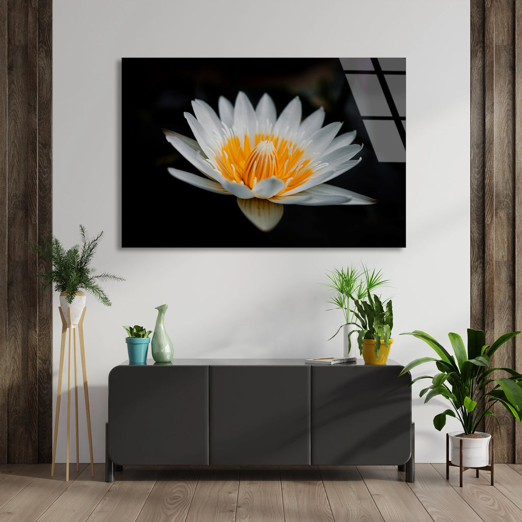 Beyaz Lotus Cicegi Cam Tablo