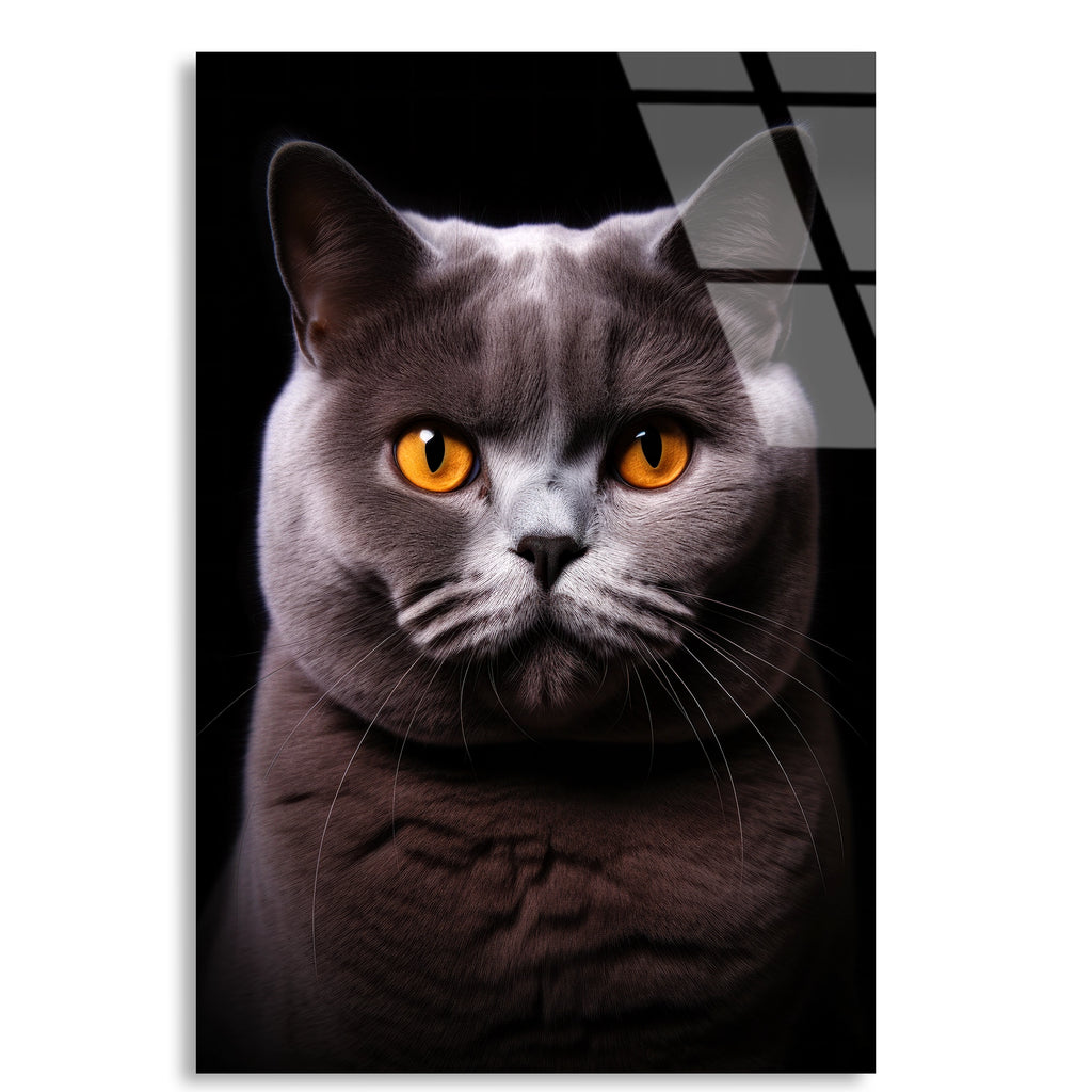 British Shorthair Kedi Cam Tablo – Hayvan Duvar Dekoru - DEG0928