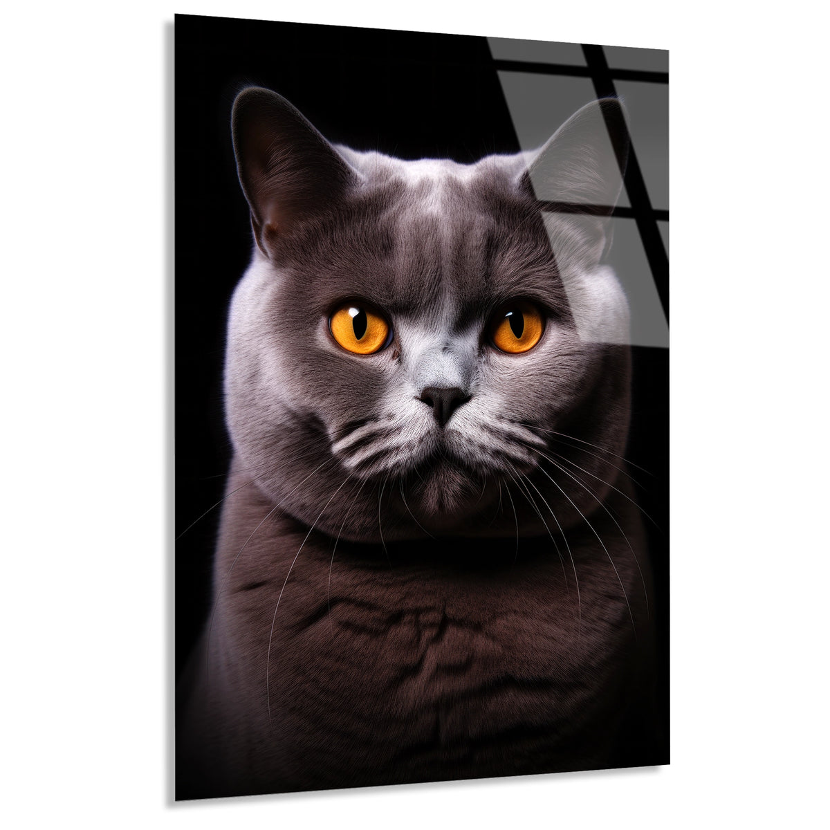 British Shorthair Kedi Cam Tablo – Hayvan Duvar Dekoru - DEG0928