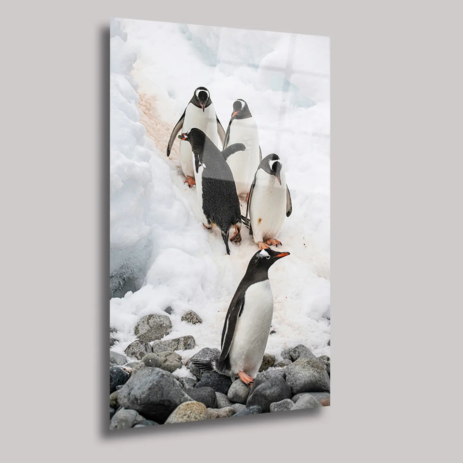 PENGUENLER - CAM TABLO - DEG0028