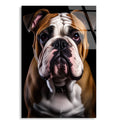 İngiliz Bulldog Cam Tablo – Hayvan Duvar Dekoru - DEG0922