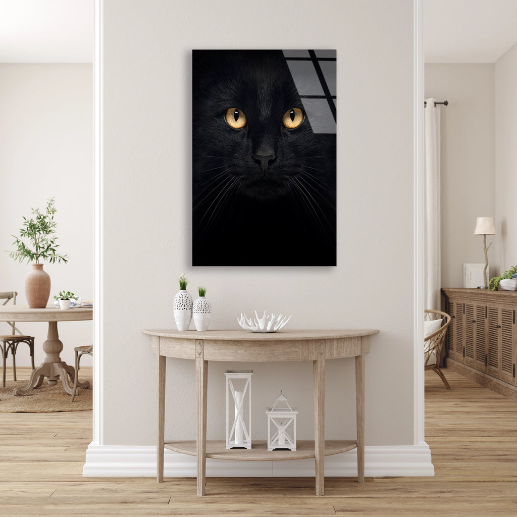 Karanlıkta Siyah Kedi Cam Tablo – Hayvan Duvar Dekoru - DEG0932
