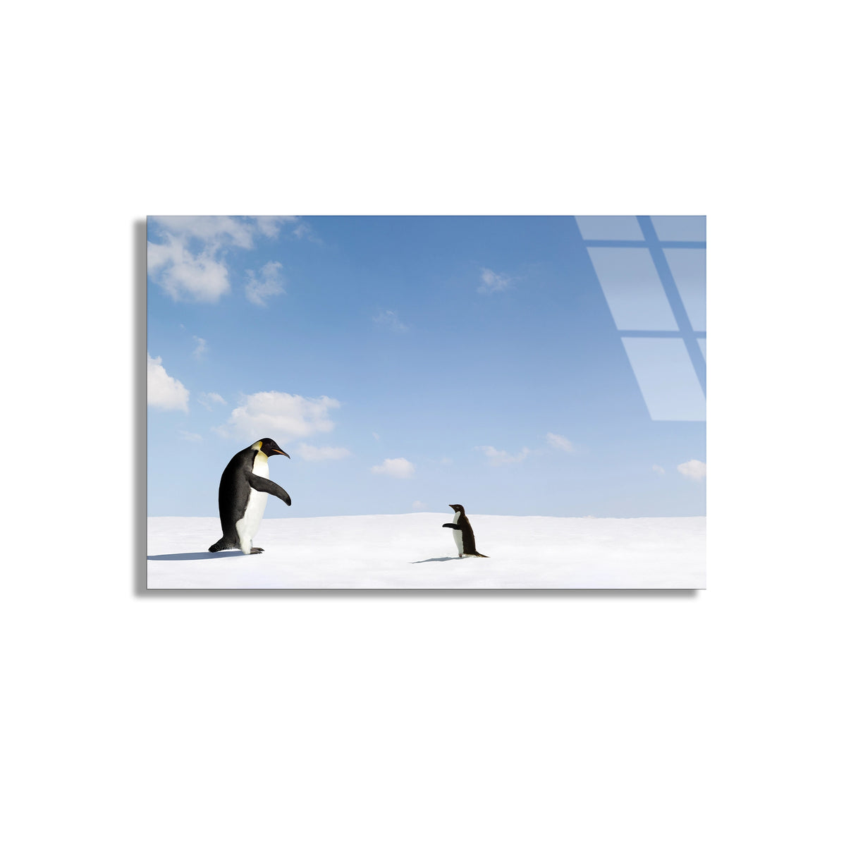 Karda Penguenler Cam Tablo