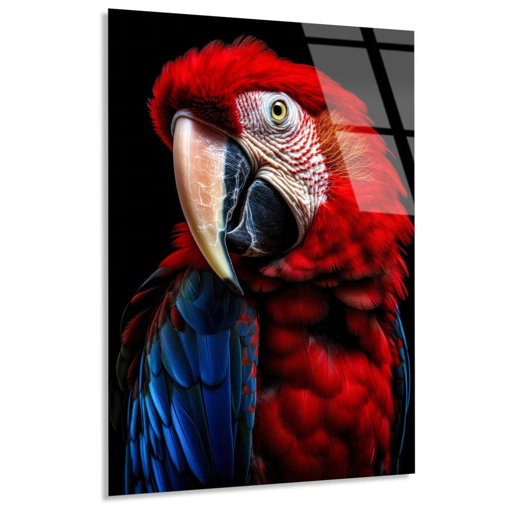 Kırmızı Ara Papağanı Cam Tablo – Hayvan Duvar Dekoru - DEG0916