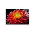 Kırmızı Çiçek Cam Tablo