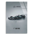 Mercedes F1 W16 Yan F1 Cam Tablo – Formula 1 Duvar Dekoru - DEG0864