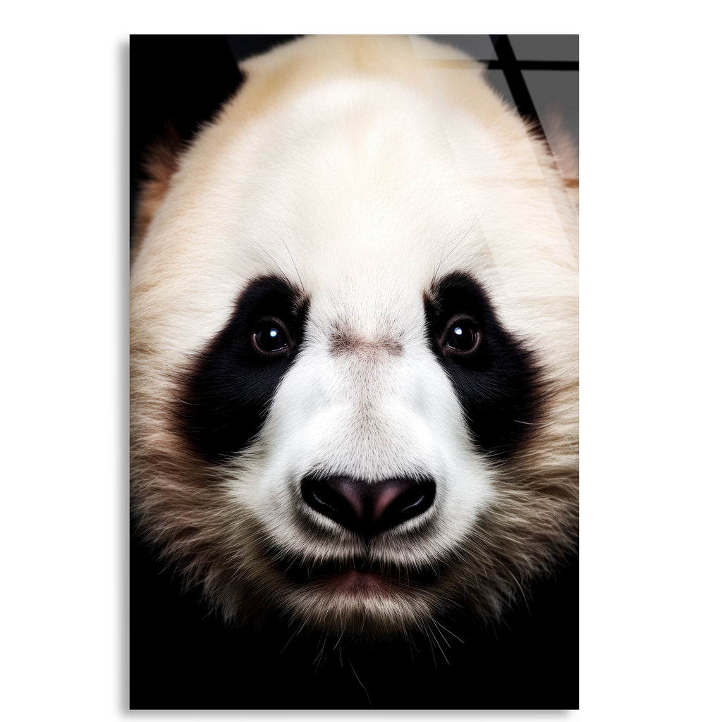 Panda Portresi Cam Tablo – Hayvan Duvar Dekoru - DEG0934