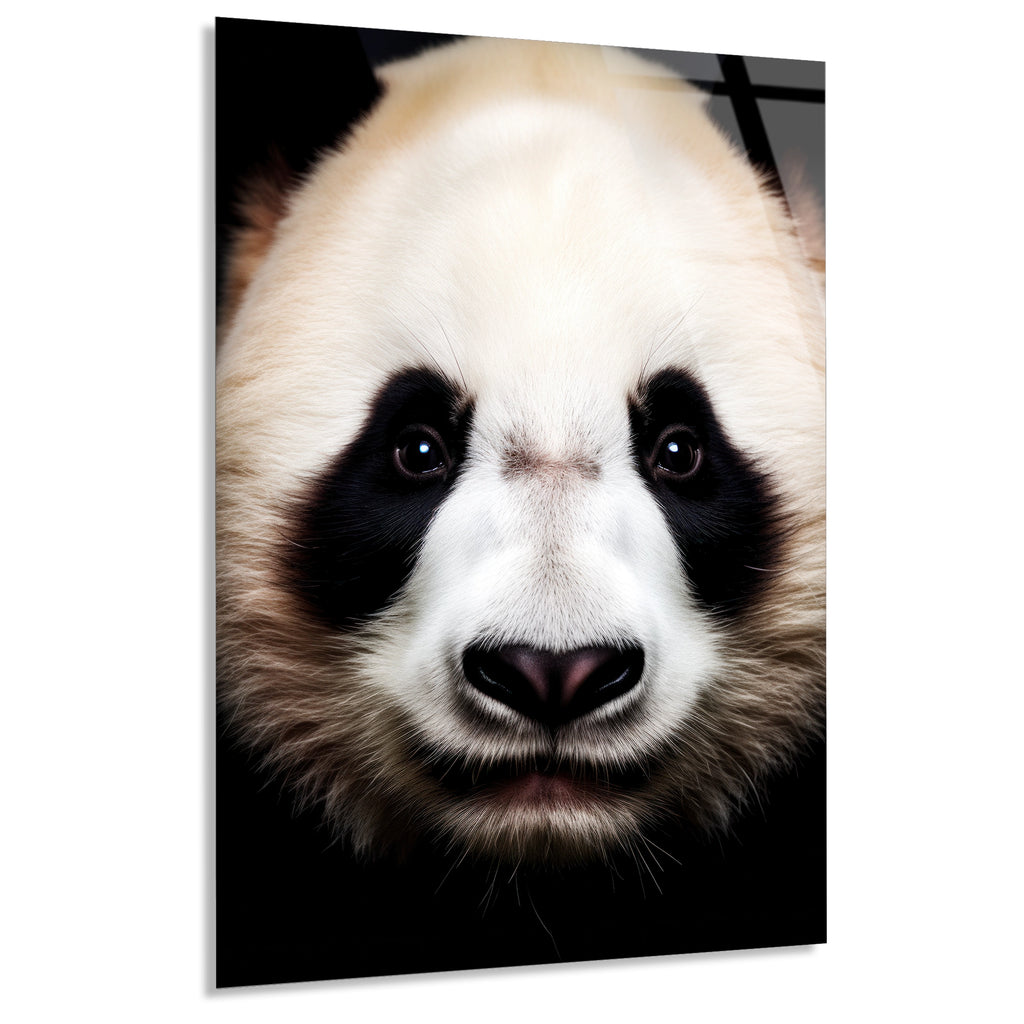 Panda Portresi Cam Tablo – Hayvan Duvar Dekoru - DEG0934