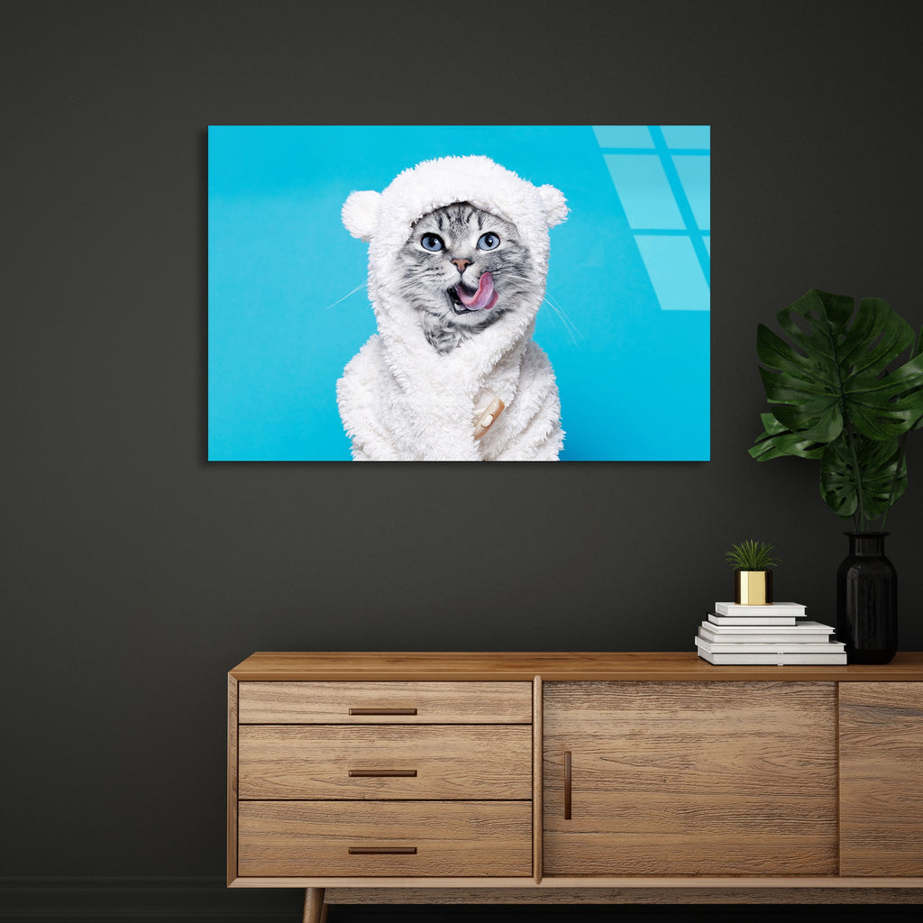 Peluş Kostümlü Kedi Cam Tablo