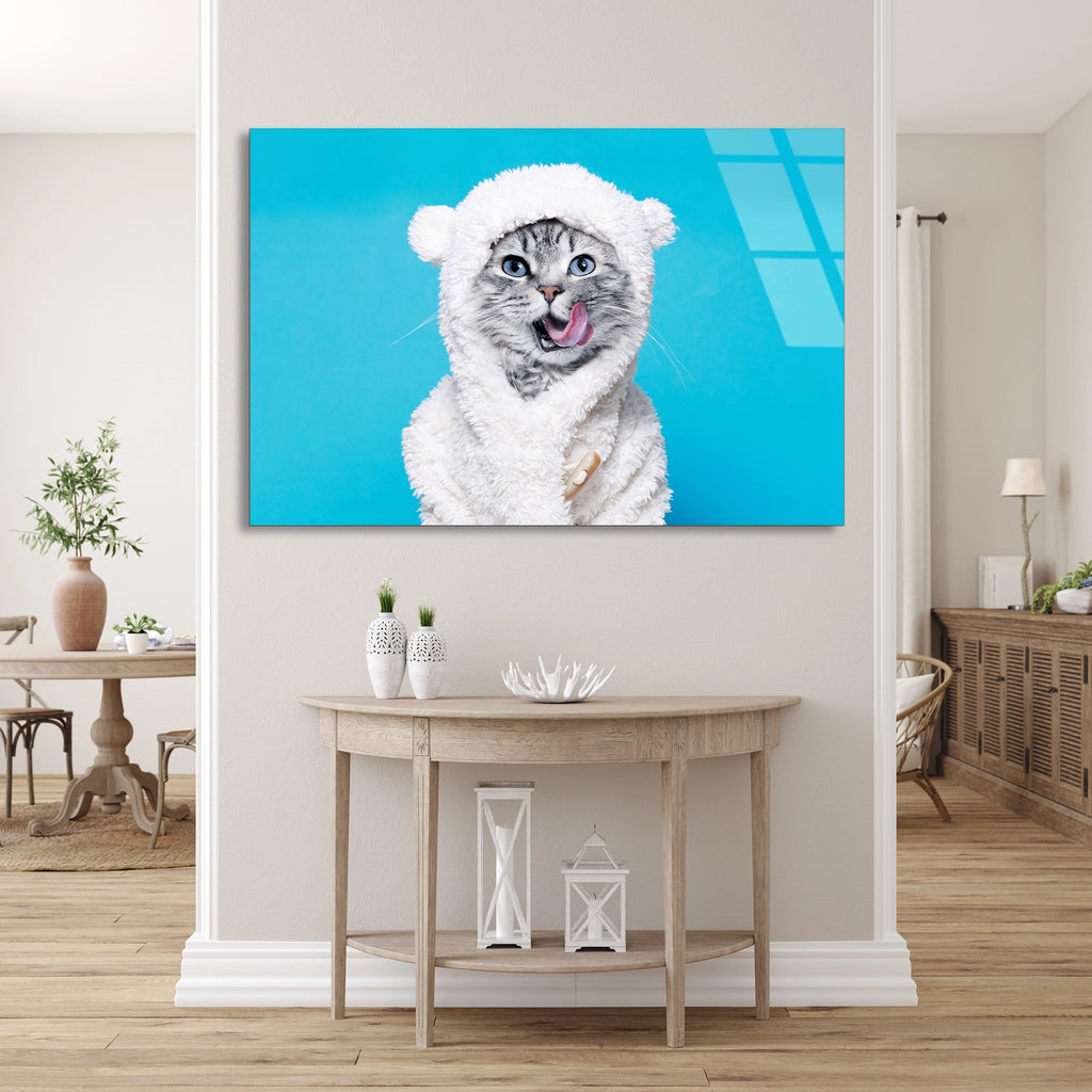 Peluş Kostümlü Kedi Cam Tablo