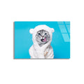 Peluş Kostümlü Kedi Cam Tablo