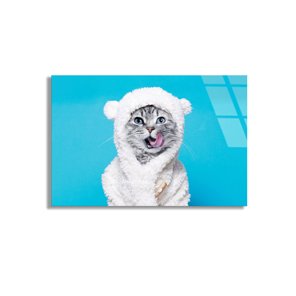 Peluş Kostümlü Kedi Cam Tablo