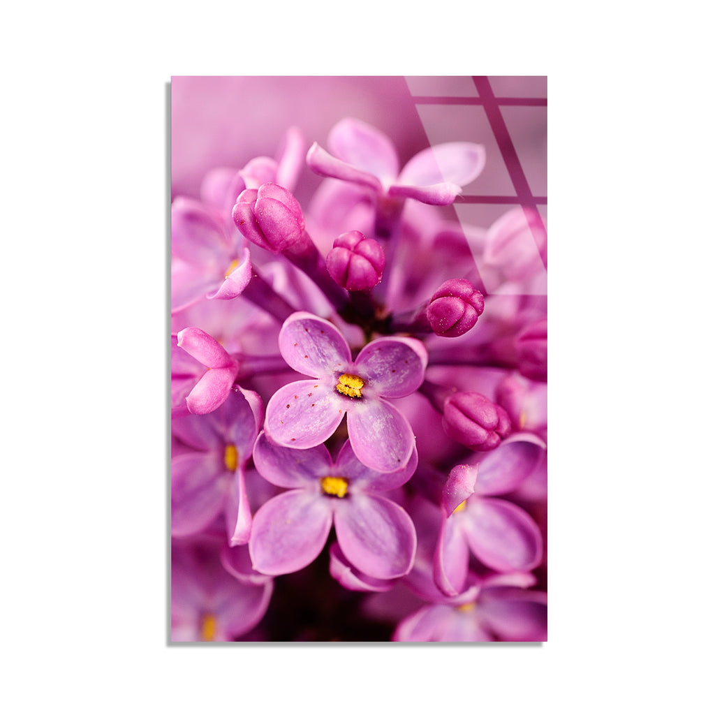 Pembe Leylak Cicekleri Cam Tablo