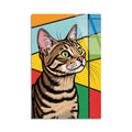 Pop Art Tekir Kedi Cam Tablo