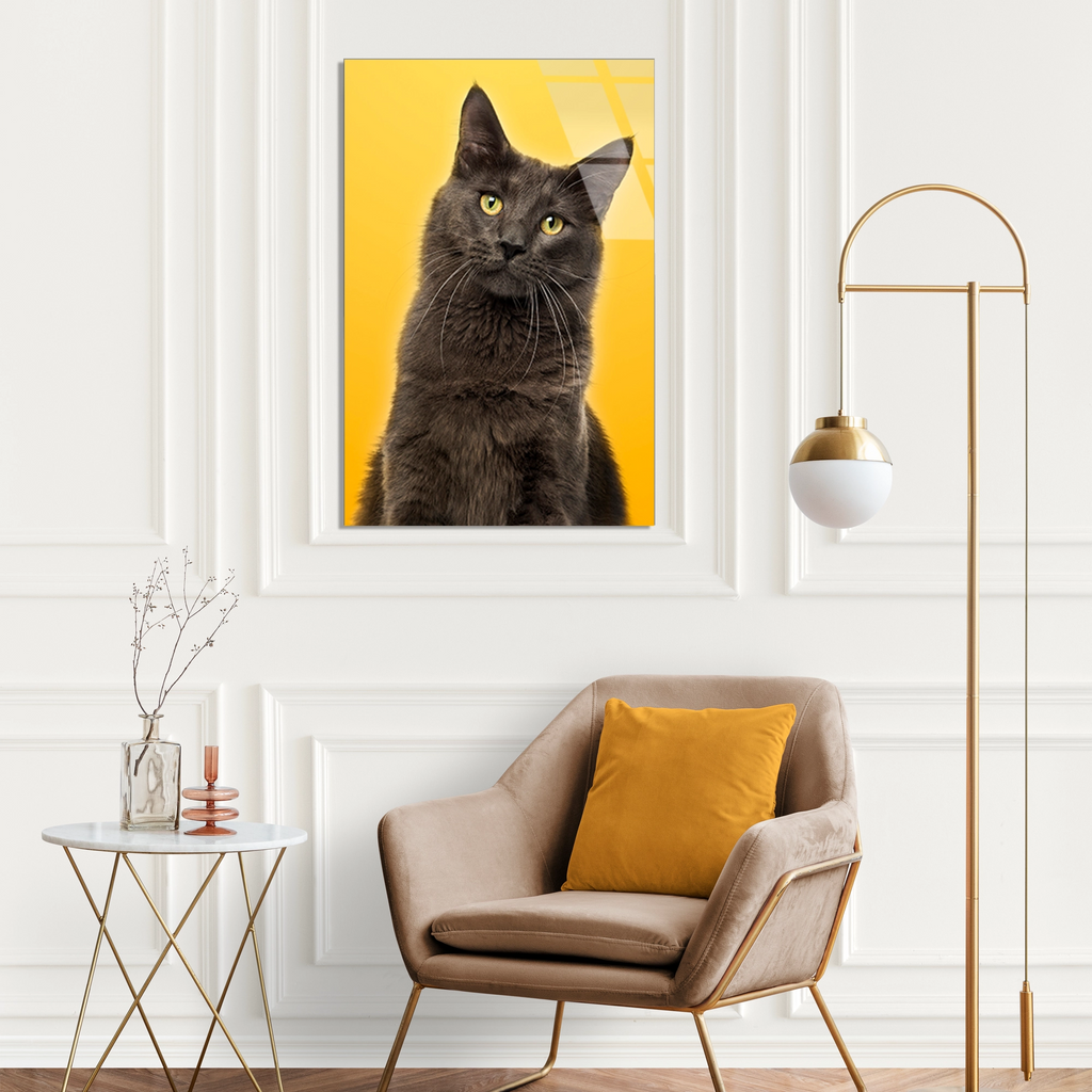 Sarı Fonda Gri Kedi Cam Tablo – Hayvan Duvar Dekoru - DEG0931