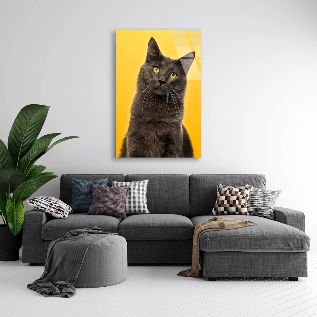 Sarı Fonda Gri Kedi Cam Tablo – Hayvan Duvar Dekoru - DEG0931
