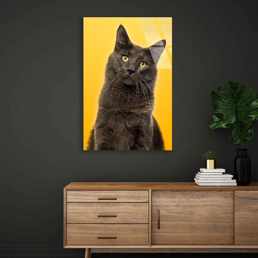 Sarı Fonda Gri Kedi Cam Tablo – Hayvan Duvar Dekoru - DEG0931