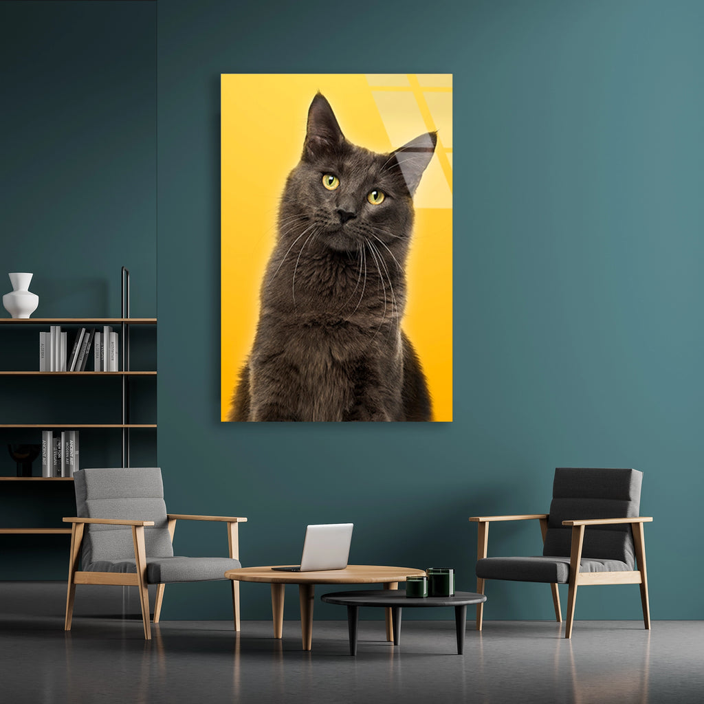 Sarı Fonda Gri Kedi Cam Tablo – Hayvan Duvar Dekoru - DEG0931