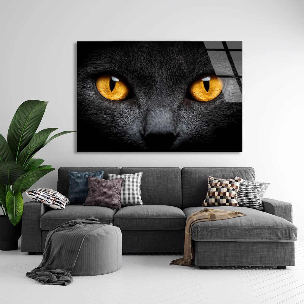 Sarı Gözlü Kedi Cam Tablo