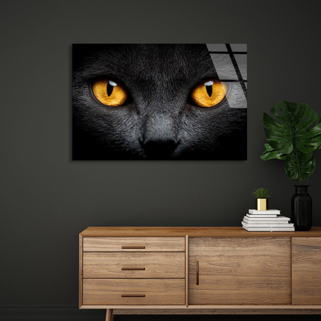 Sarı Gözlü Kedi Cam Tablo