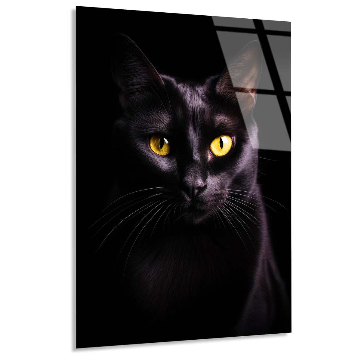 Siyah Kedi Cam Tablo – Hayvan Duvar Dekoru - DEG0930