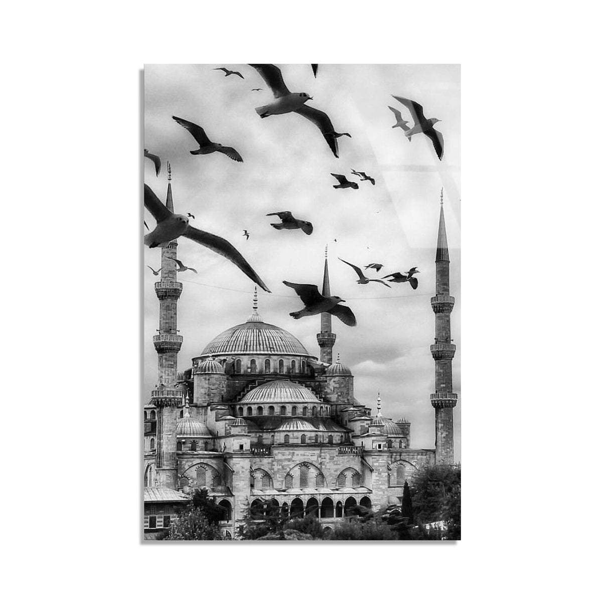 Sultanahmet Camii Kuslar Cam Tablo