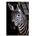 Zebra Portresi Cam Tablo – Hayvan Duvar Dekoru - DEG0915