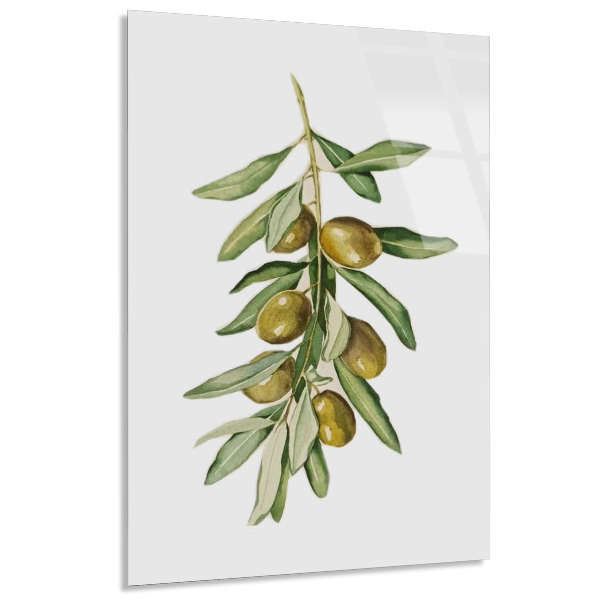 Zeytin Dali Suluboya Cam Tablo